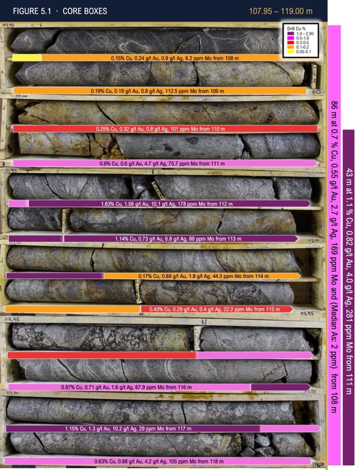 Mogotes Metals entdeckt hochgradige Kupfer-Gold-Silber-Mineralisierung ...