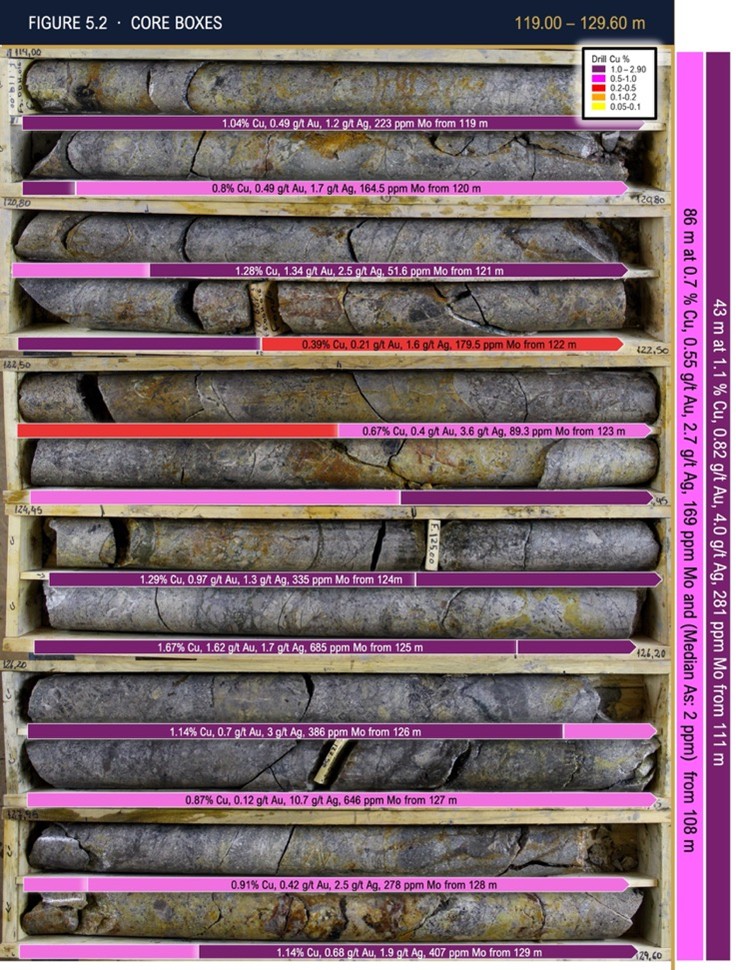Mogotes Metals entdeckt hochgradige Kupfer-Gold-Silber-Mineralisierung ...
