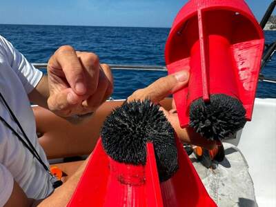 Aurania’s Sampling of Sea Bottom Indicates Potential for Greater Extent of Nickel at Corsica