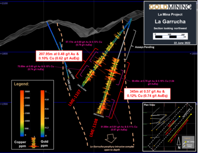 GoldMining Inc. Discovers Extension Of Its La Garrucha Target, La Mina Project, Colombia: Drill Results include 345.54 metres at 0.74 g/t AuEq
