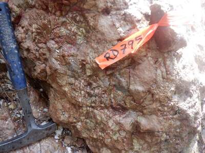 Aurania Announces Positive Mapping Results at Tatasham and Awacha Porphyry Targets in Ecuador