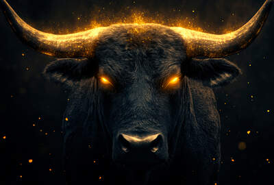 Precious Metals Report 2025/11 - Update